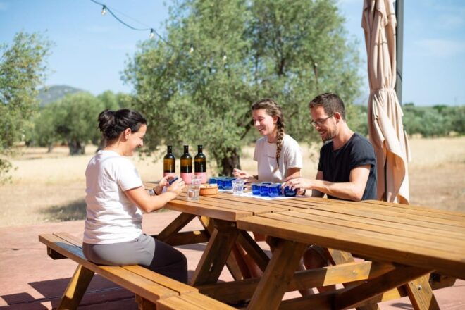 Olive Oil Tasting: Secrets From Ancient Olive Groves - Understanding Greek Olive Varieties