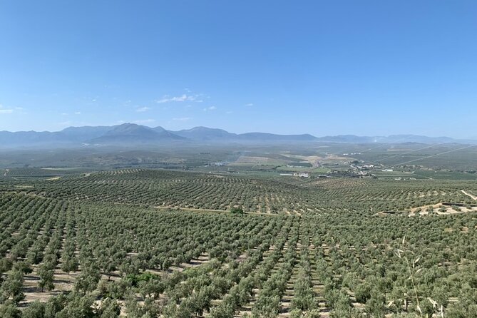 Olive Oil Tasting With O75 in Córdoba, Spain - How to Get There