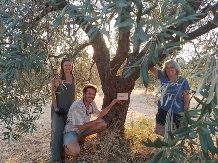 Olive Oil Tasting With Seminar in Kriopigi - Halkidiki. - Good To Know