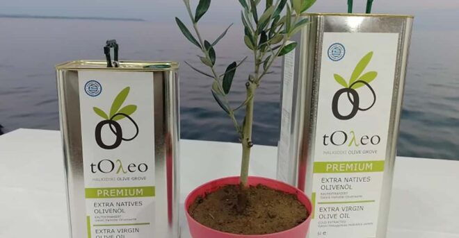 Olive Oil Tasting With Seminar in Kriopigi - Halkidiki. - Olive Oil Characteristics