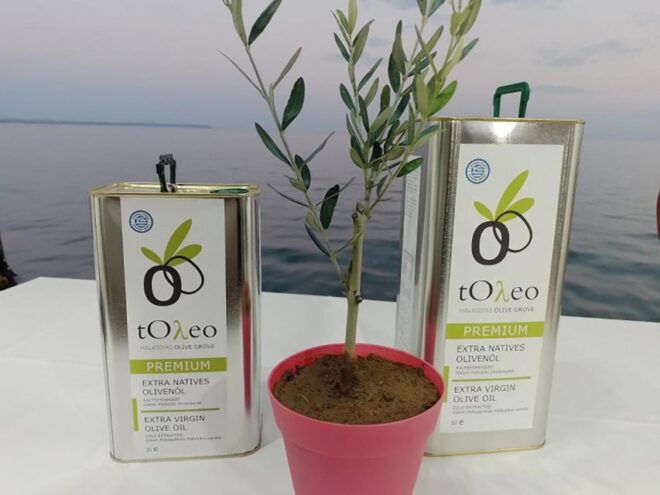 Olive Oil Tasting With Seminar in Metaggitsi - Halkidiki. - Setting and Amenities