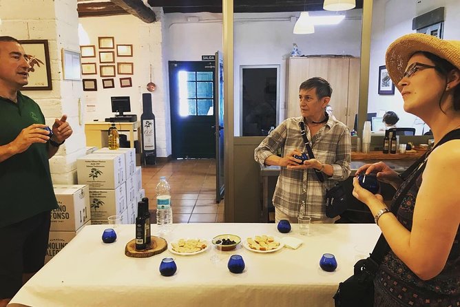 Olive Oil Tour and Visit to Belchite Old Town - The Sum Up