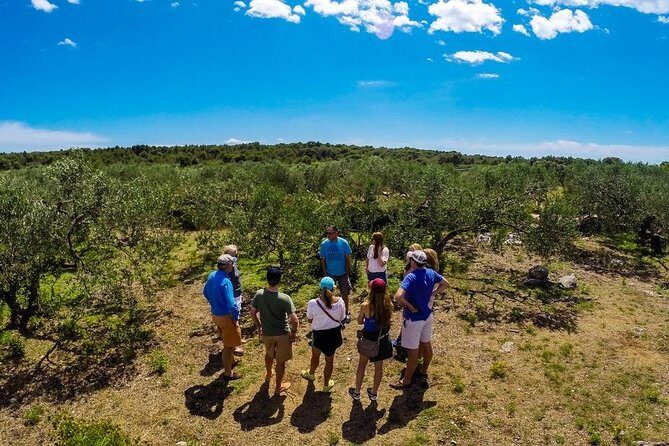 Olive Oil Tour of Solta Island with Lunch - Exploring the Olive Oil Tour of Solta Island from Split: An Authentic Croatian Experience