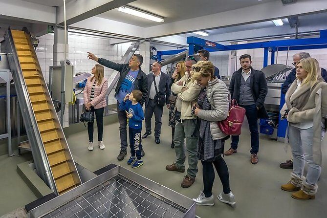 Olive Oil Tour of Solta Island with Lunch - Why We Love This Tour