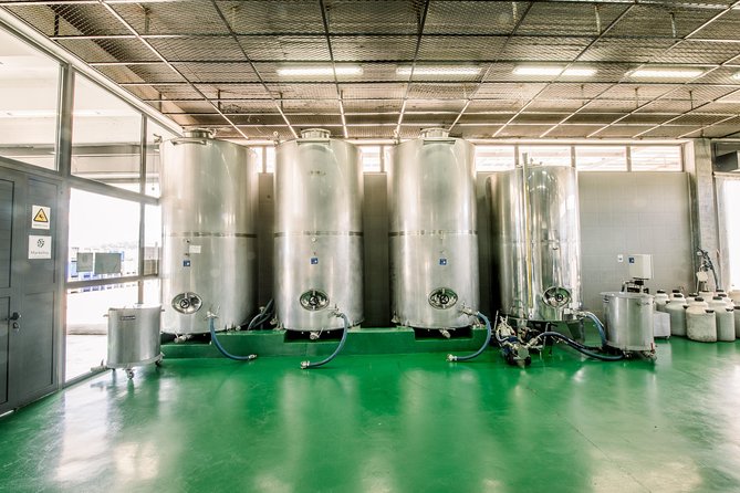 Olive Oil Tour & Tasting by Markellos Olive - Traveler Photos