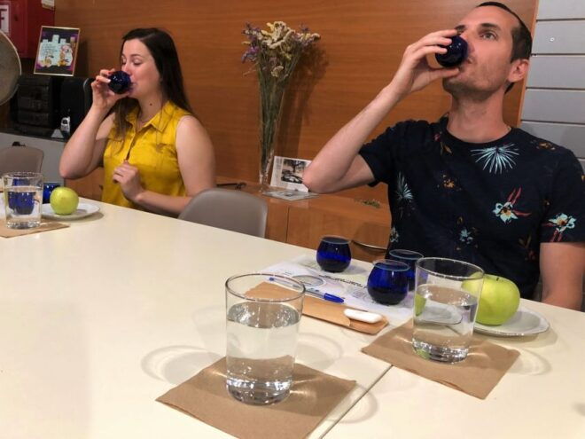 Olive Oil Tour & Tasting in Kalamata, Messinia, Greece - Directions