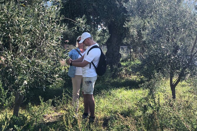 Olive Oil Tour & Tasting With Lunch in Kalamata, Messinia, Greece! - Frequently Asked Questions