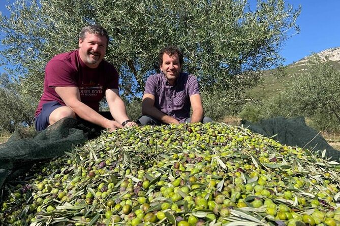 Olive Oil Tour & Tasting With Sommelier -Kalentzi, Athens Daytrip - Frequently Asked Questions