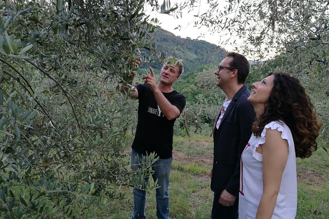 Olive Oil Tour With Tuscan Dinner - Good To Know