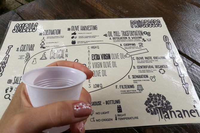 Olive Oil Tour With Tuscan Dinner - Tour Overview