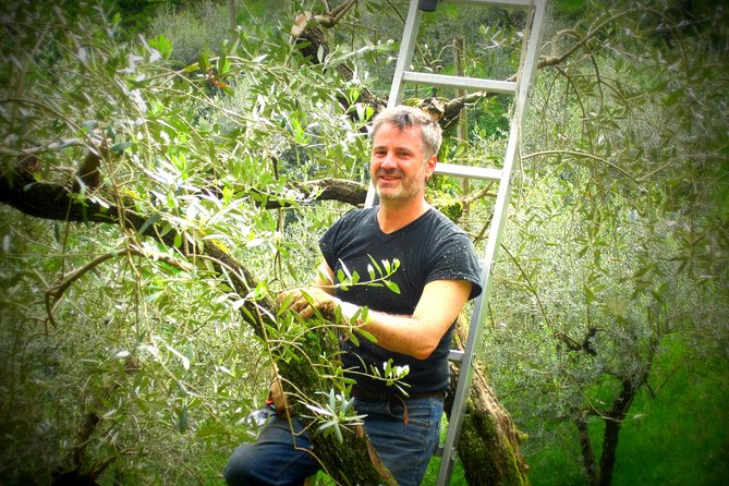 Olive Oil Tour With Tuscan Dinner - Additional Information