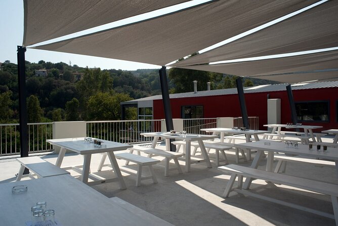 Olive Oil - Wine - Beer Private Tour (Price per Group of 6) - Reviews and Ratings