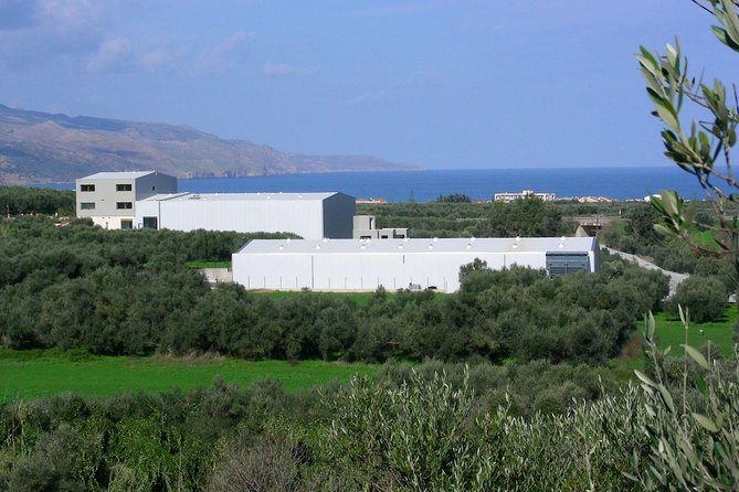 Olive Oil - Wine - Beer Private Tour (Price per Group of 6) - Common Questions