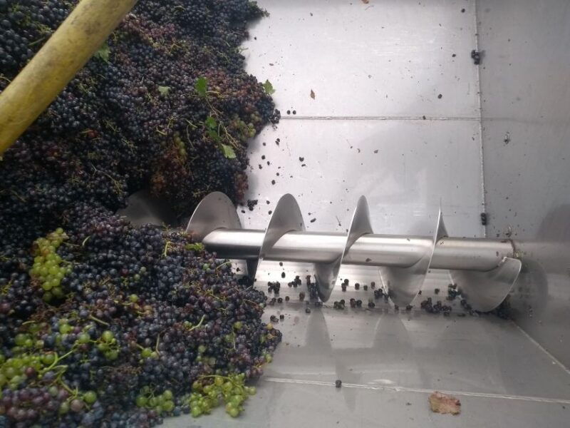 Olive Oil & Wine in the Euganean Hills From Terme - Good To Know