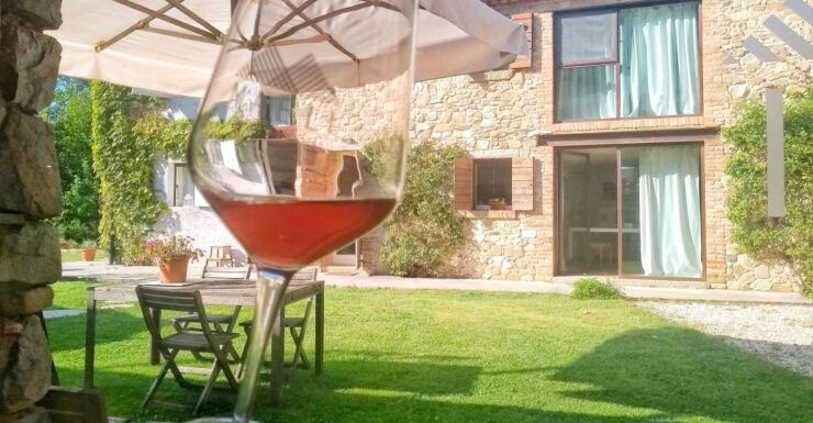 Olive Oil & Wine Tour From Padua With Transfer - Booking Information