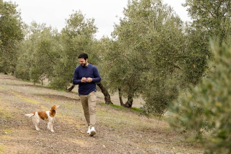 OLIVE OIL & WINE TOUR Organic Fields - 5 WINEs + 3OLIVE OILs - Itinerary Highlights