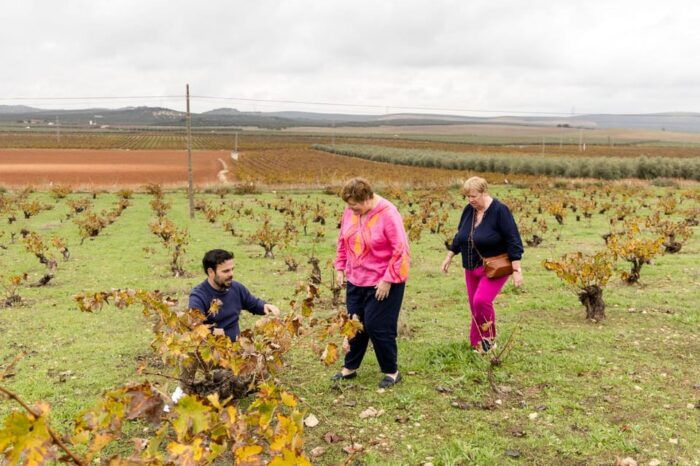 OLIVE OIL & WINE TOUR Organic Fields - 5 WINEs + 3OLIVE OILs - Guided Tasting of Wines and Olive Oils