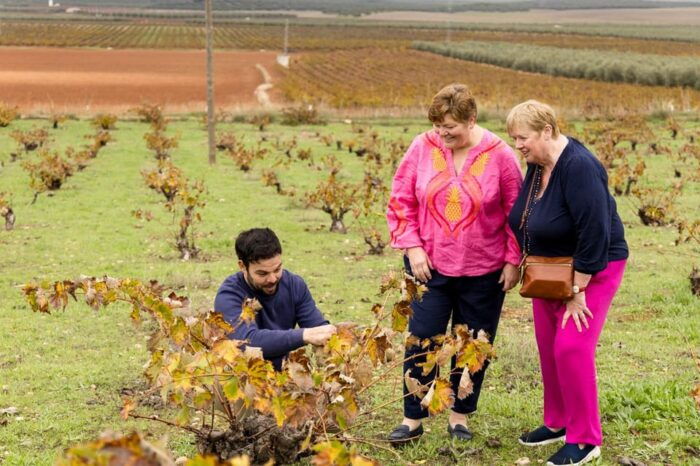 OLIVE OIL & WINE TOUR Organic Fields - 5 WINEs + 3OLIVE OILs - Common Questions