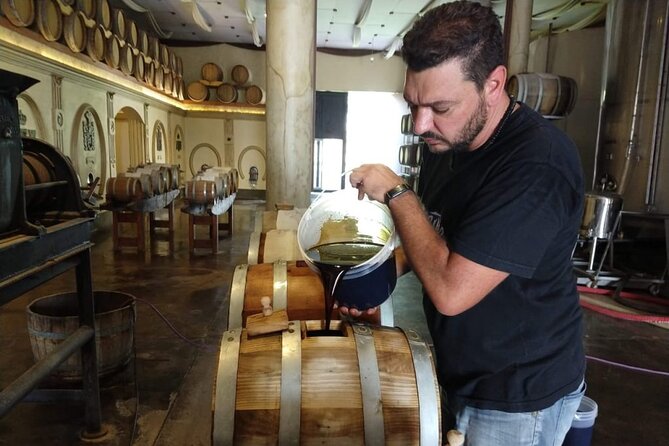 Olive Oils, Gourmet Products and Wines - Tour Duration and Inclusions