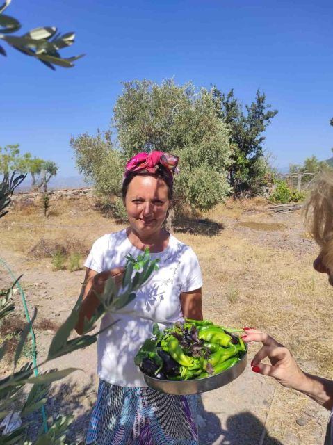 Olive Tasting & Rustic Lunch in Country Home - Booking Details