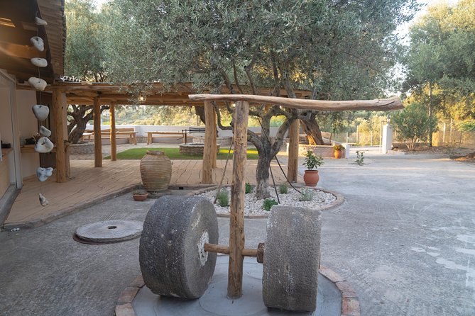 Olive Tour & Tasting - Accessibility Information