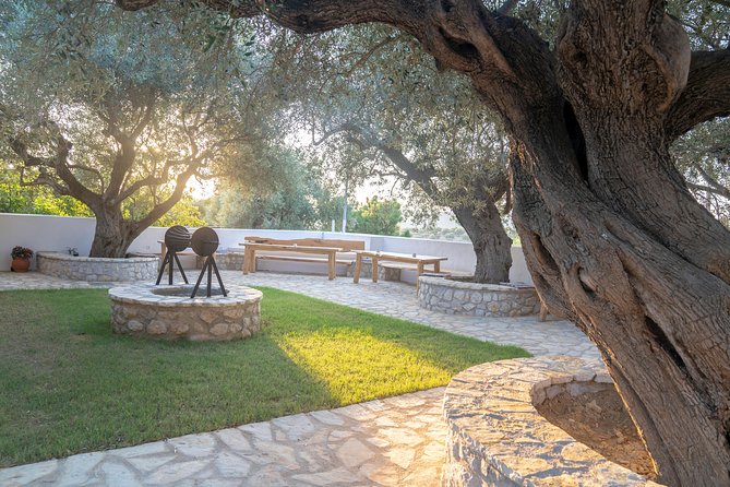Olive Tour & Tasting - Common Questions