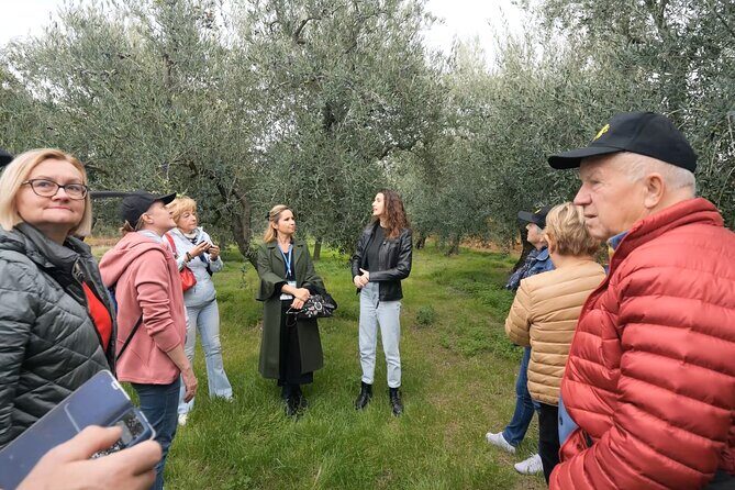 Olive Tree Tour, Visit Vallarella Oil Mill, Oil Tasting - Good To Know