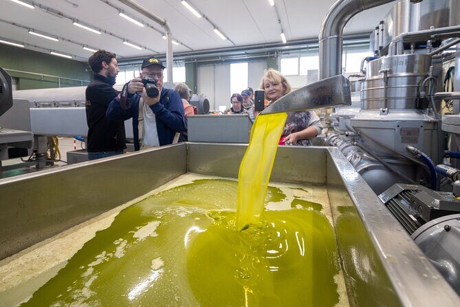 Olive Tree Tour, Visit Vallarella Oil Mill, Oil Tasting - Why This Tour Is Worth Considering