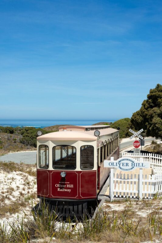 Oliver Hill Train and Tunnel 2 Hour Tour from Rottnest Island - Is the Oliver Hill tour worth booking?