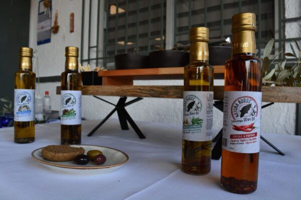 Olives & Olive Oil Tasting + Wine (3 in 1 Experience!) - The Sum Up