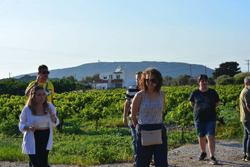 Olives & Olive Oil & Wine Tasting (3 in 1 Experience!) - Practical Details: What You Need to Know