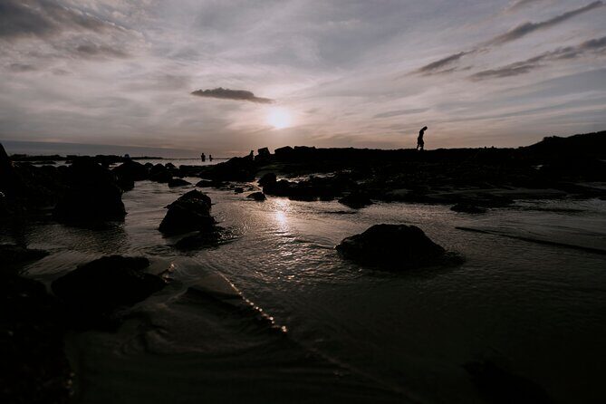 Olle Trail Sunset Tour in Jeju Island - What Our Reviewers Say