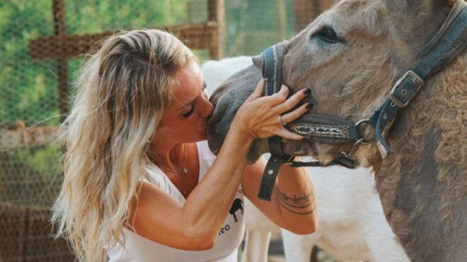 Olmedo: Visit to an Animal Shelter - What to Bring