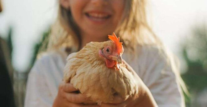 Olmedo: Visit to an Animal Shelter - The Sum Up