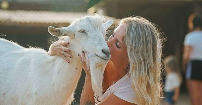 Olmedo: Visit to an Animal Shelter With Lunch or Dinner - Highlights of the Visit