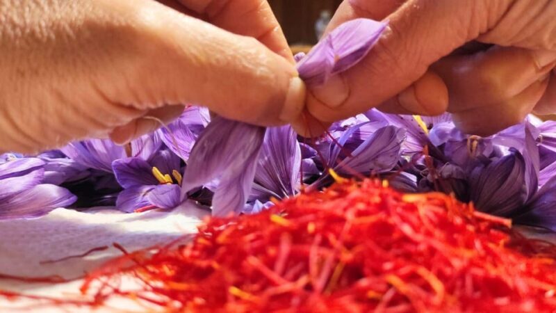 Olmedo: visit to the saffron workshop with tasting - What to Expect During the Tour