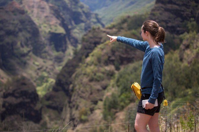 Olokele Canyon Helicopter Tour Including Canyon Landing Kauai - Tour Overview and Highlights