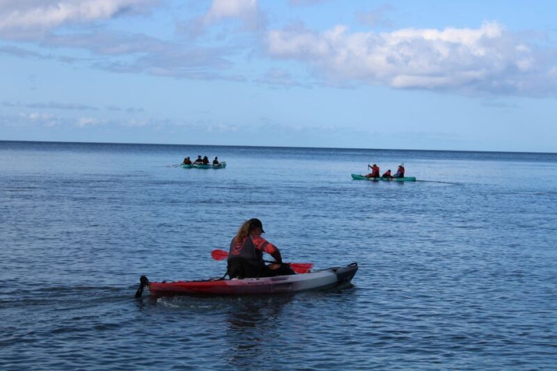 Olowalu: Guided Kayak and Snorkeling Tour - Unlimited - Final Thoughts: Why Choose This Tour?