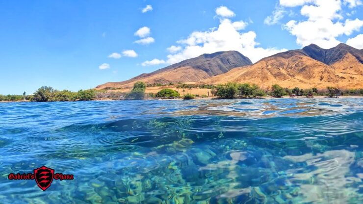 Olowalu: Guided Tour Over Reefs in Transparent Kayak - Experience Highlights