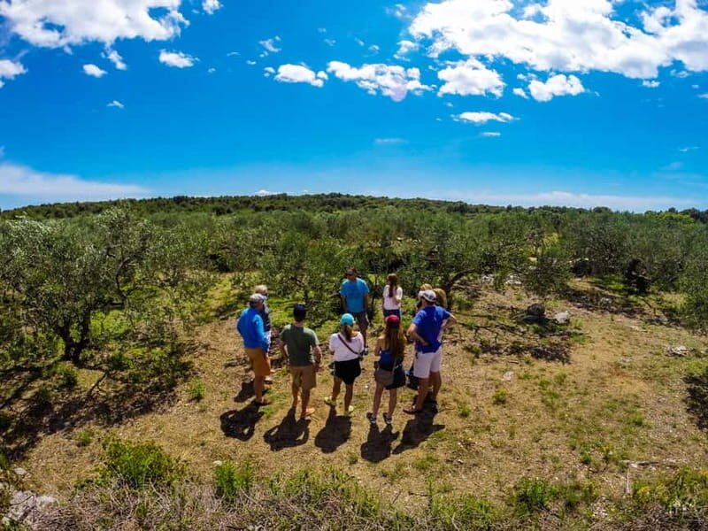 olta Island from Split: 5-Hour Olive Oil Tour with Lunch - A Delicious Lunch with Local Flavors