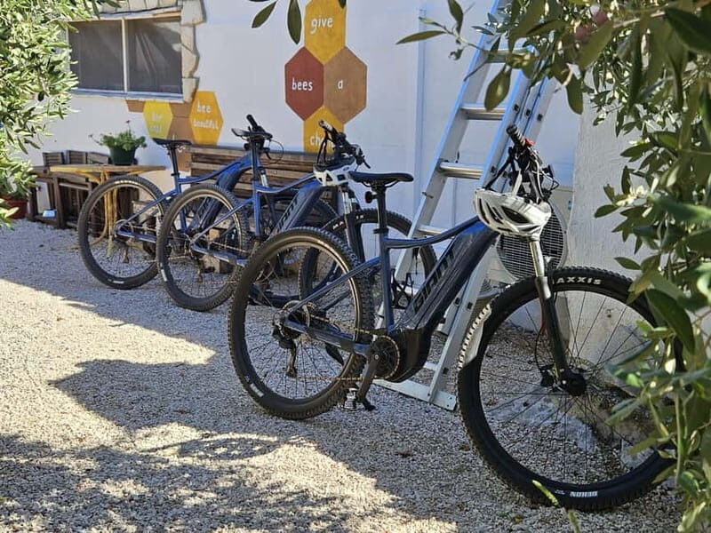 olta Island from Split: Private E-Bike Tour - The Return Journey: Stress-Free and Scenic