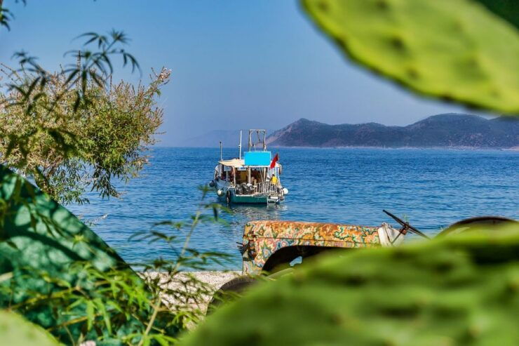 Oludeniz: Butterfly Valley Tour & St. Nicholas Island Cruise - Booking Details
