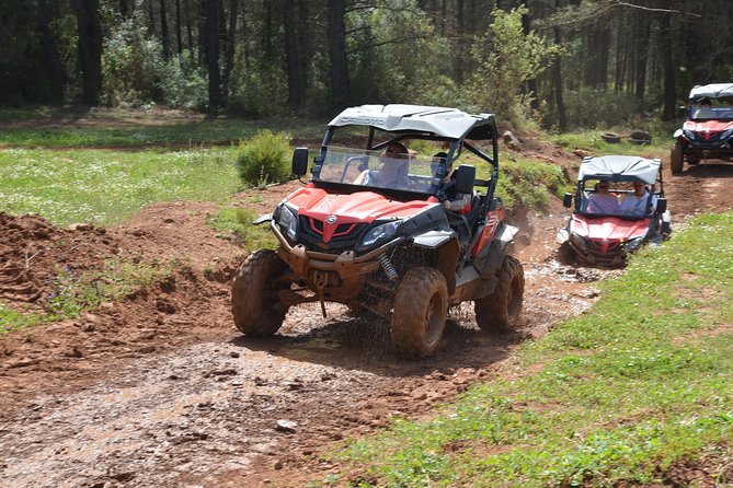 Oludeniz Forest & Beach Buggy Excursion From Fethiye - Common Questions