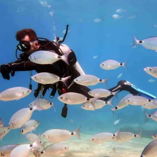 Oludeniz Half Day Scuba Diving Program - Experience Quality and Atmosphere