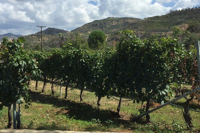 Olympia Highlights & Winery Experience: 4-Hour Tour - Olympia Highlights & Winery Experience: 4-Hour Tour