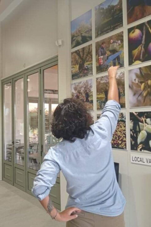 Olympia: Visit of Agricultural Farm and Free Time in Olympia - Good To Know