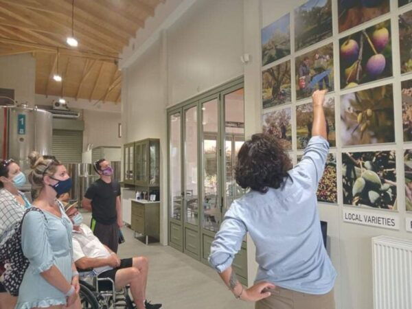 Olympia: Visit of Agricultural Farm and Free Time in Olympia - The Sum Up