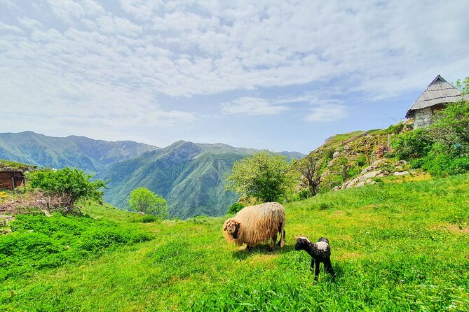 Olympic Mountains 4x4 Photo Safari Tour From Sarajevo - Meeting and Pickup