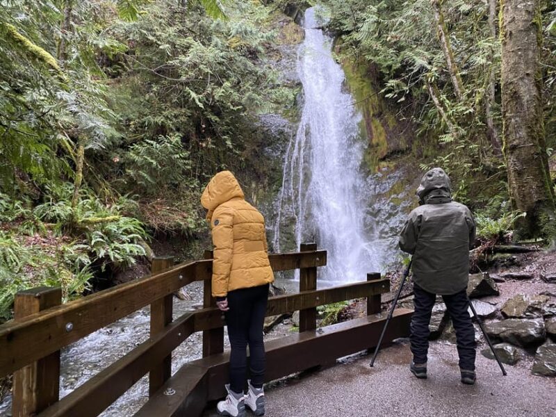Olympic National Park: Half-Day Tour - Exploring the Itinerary in Detail  
