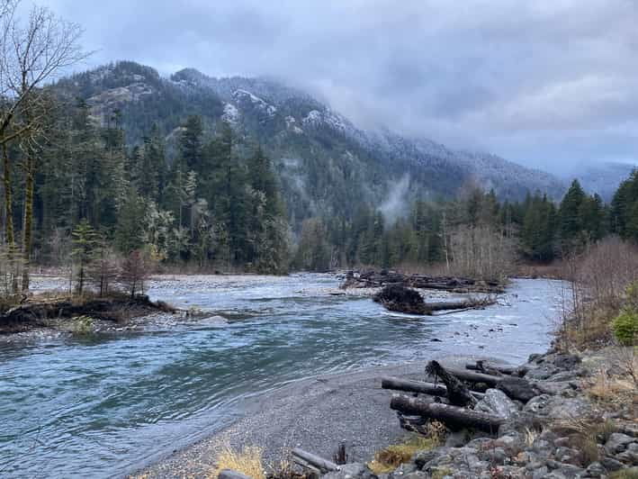 Olympic National Park: Half-Day Tour - Good To Know